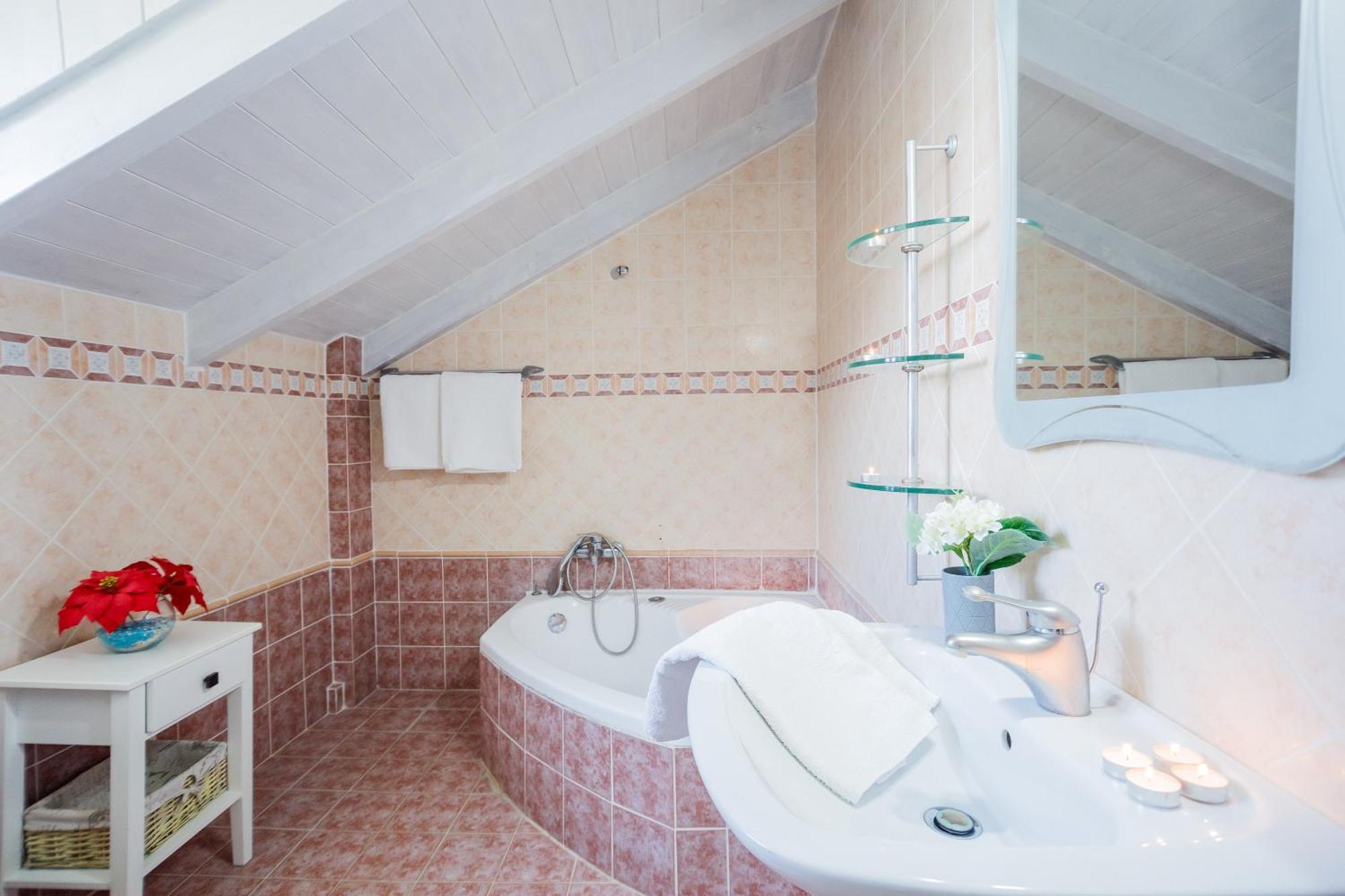 Tonias Houses - Thea House And Vrachos Attic Appartment อลิกานาส ภายนอก รูปภาพ
