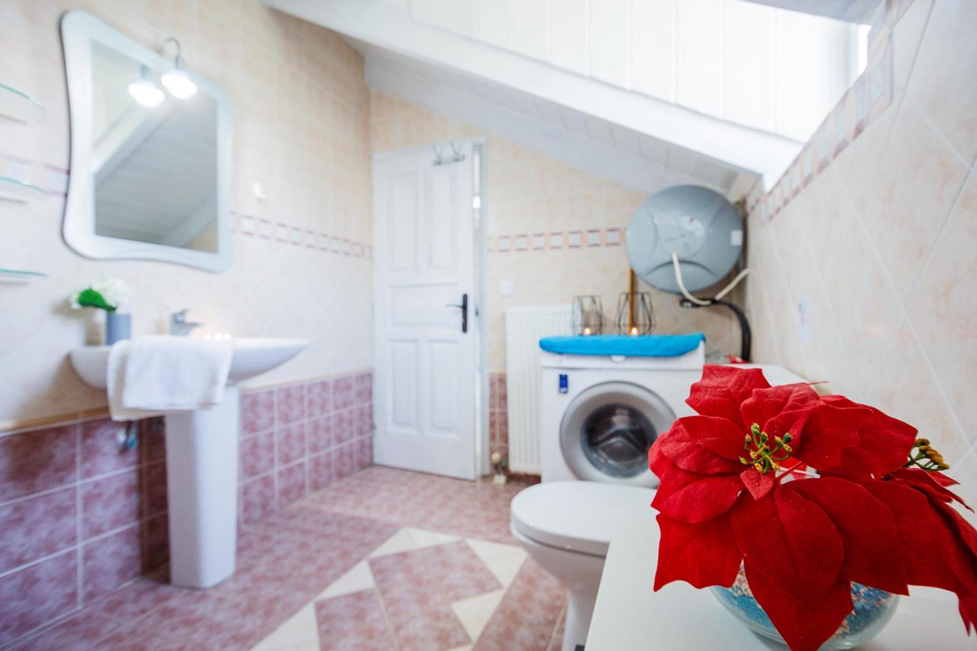 Tonias Houses - Thea House And Vrachos Attic Appartment อลิกานาส ภายนอก รูปภาพ